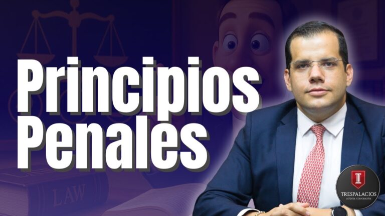 10 principios del derecho penal