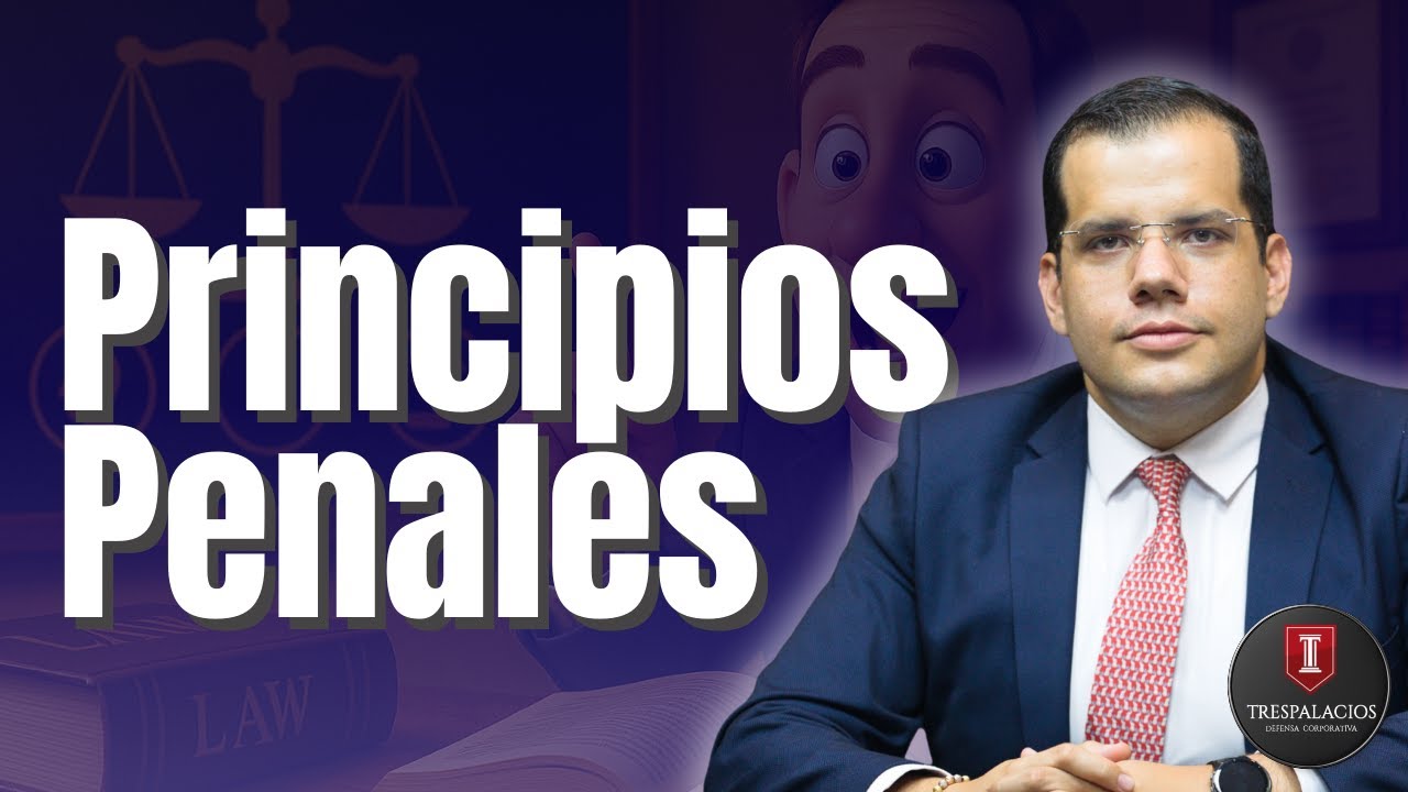 10 principios del derecho penal