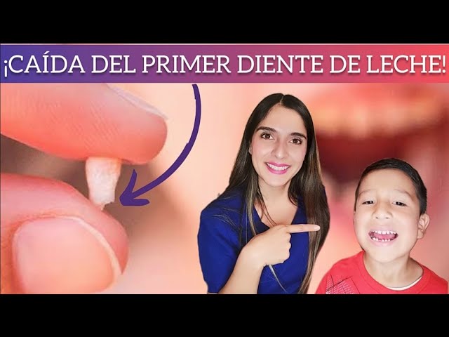 a que edad se cae el primer diente