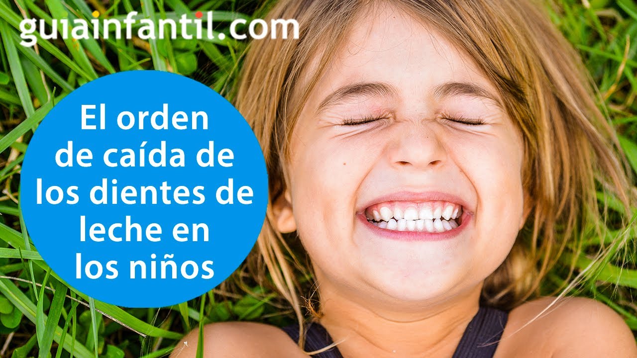 a que edad se empiezan a caer los dientes