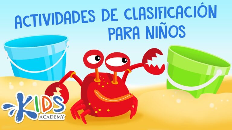 actividades de clasificación para preescolar