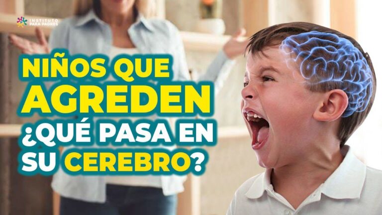 agresividad en niños de 6 a 12 años