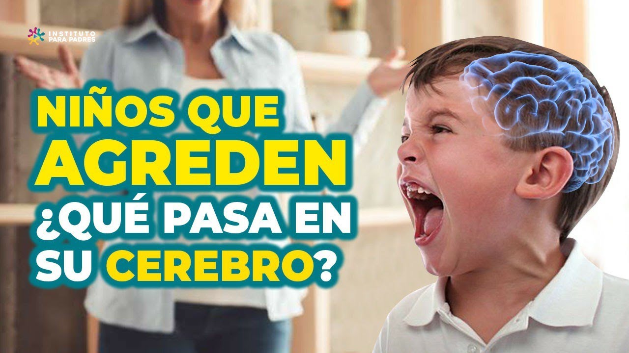 agresividad en niños de 6 a 12 años