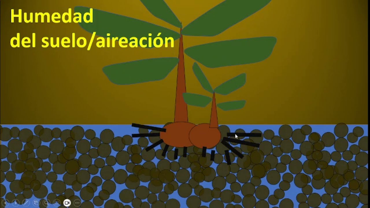 ajustarse a las condiciones o el ambiente