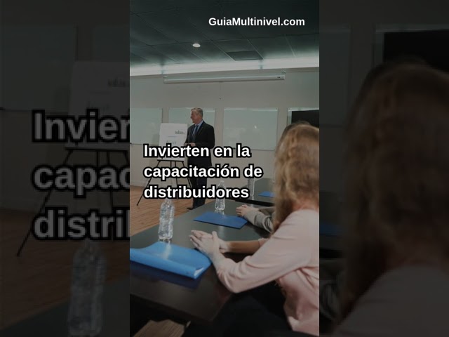 alianza de marketing de internet de la ciudad de méxico