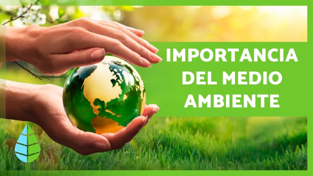 beneficios de cuidar el medio ambiente