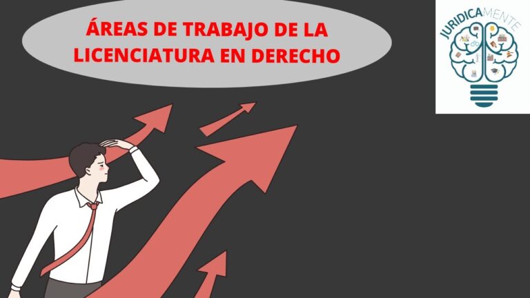 campo de trabajo de derecho