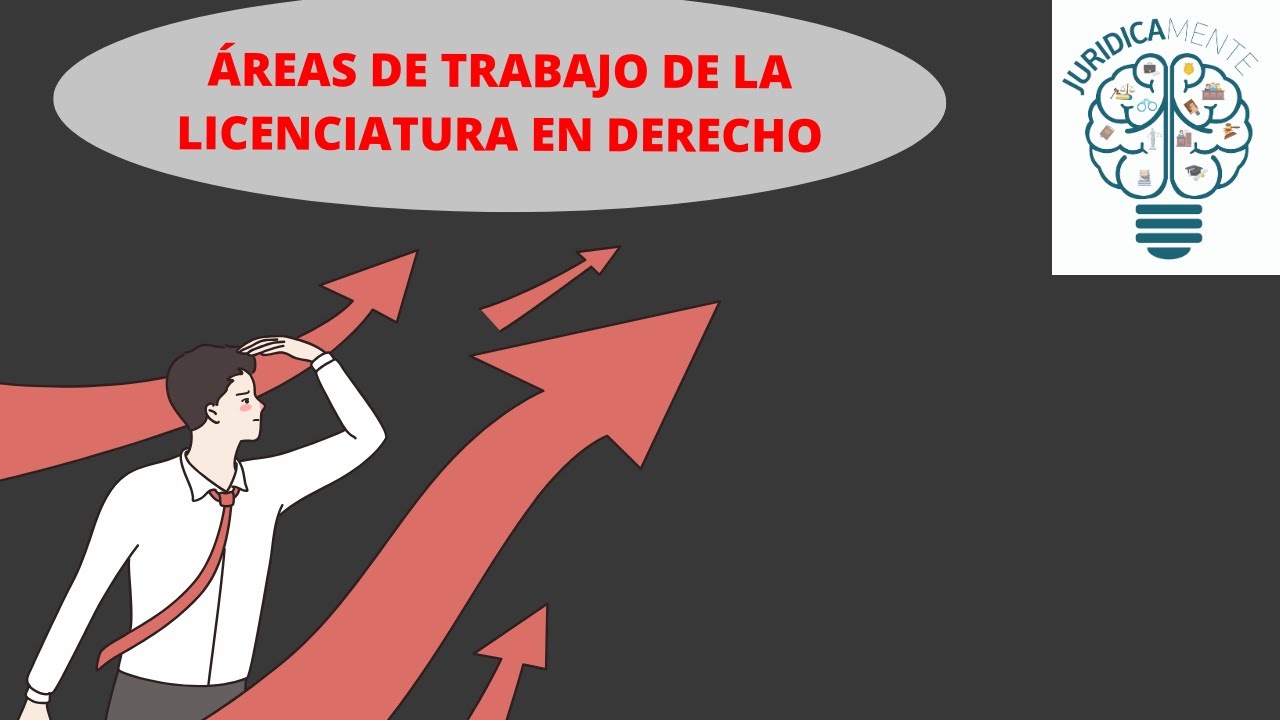 campo de trabajo de derecho