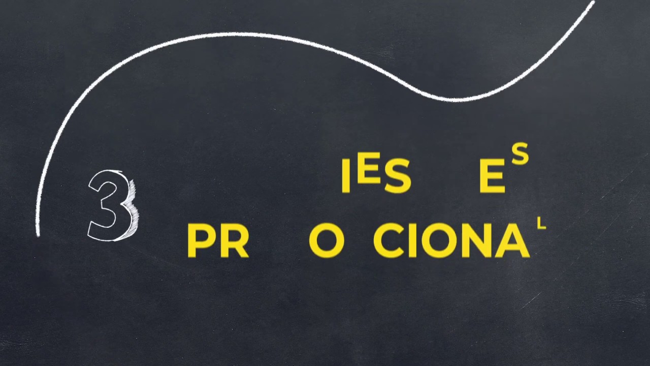 caracteristicas de un portafolio de inversion