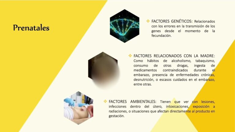causas de la discapacidad motriz