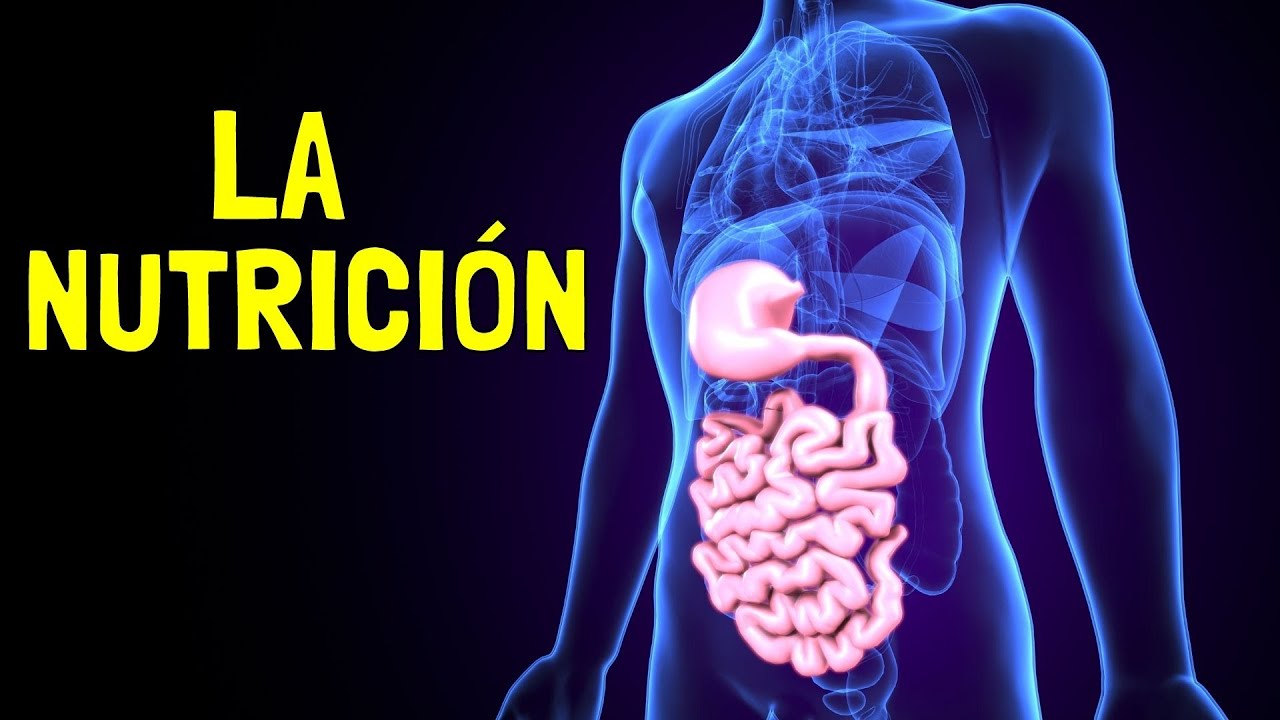 ciencia de la nutricion humana