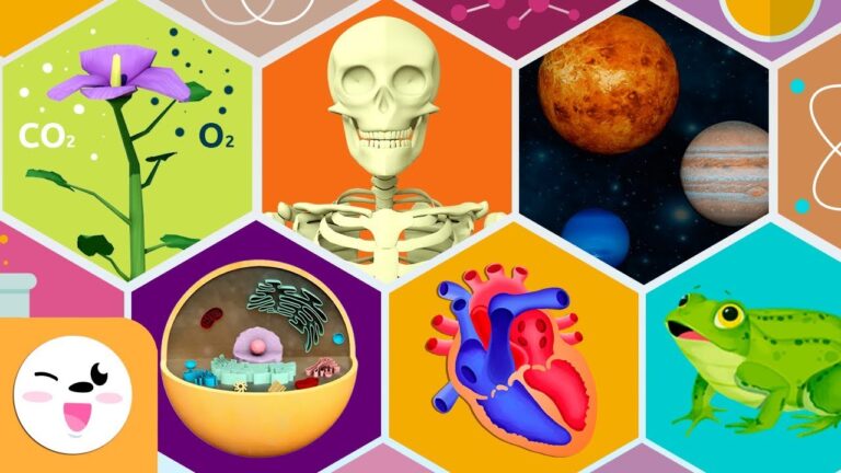 ciencias segundo grado de secundaria