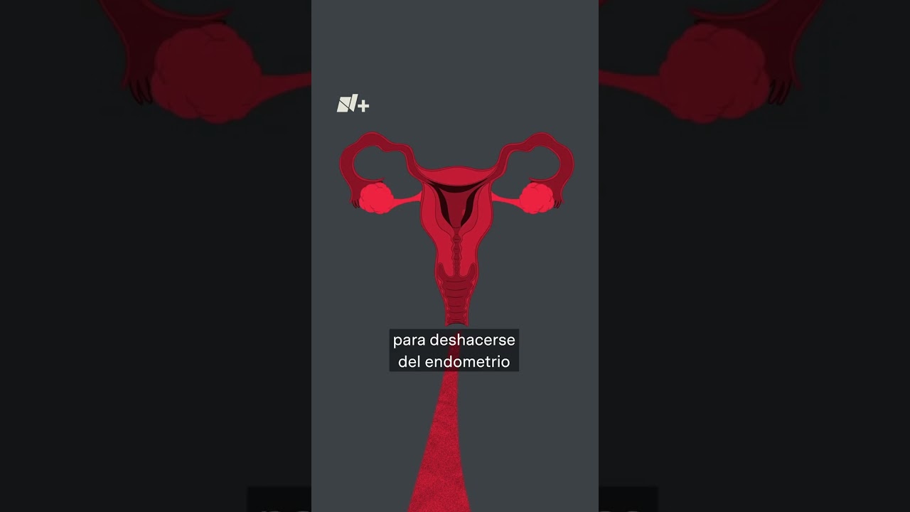 colicos sin que me baje