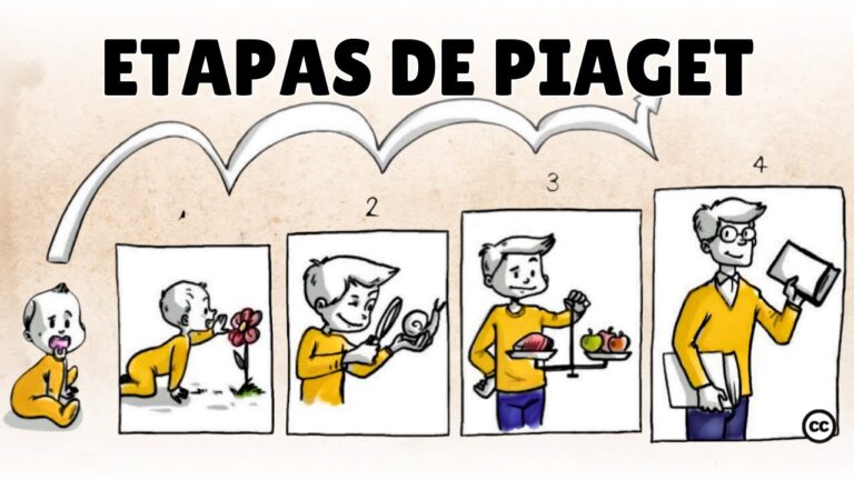 como impactan los diferentes estadios de desarrollo cognitivo