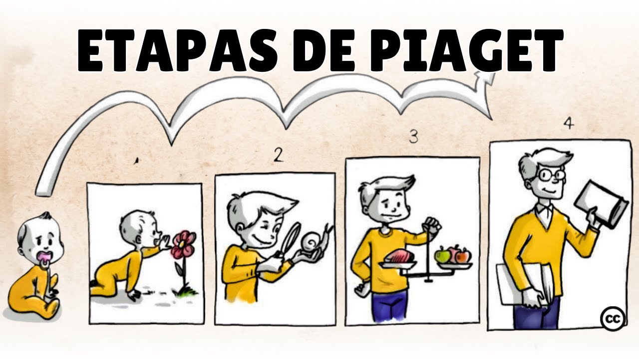 como impactan los diferentes estadios de desarrollo cognitivo