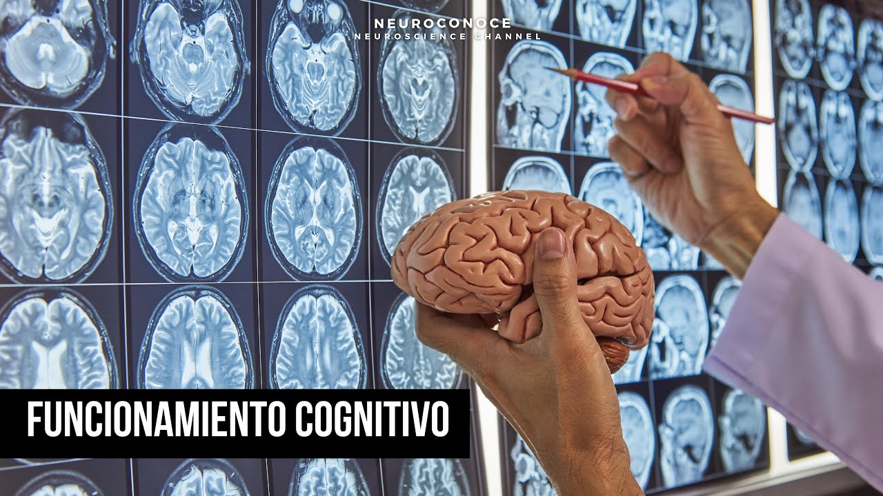 componente cognitivo de las emociones