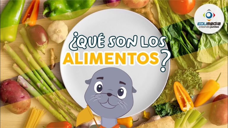 cual es el tipo de alimentacion de cada uno