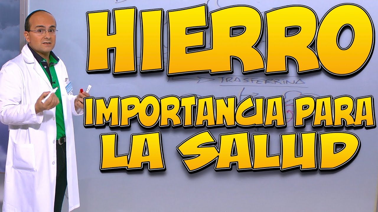 cual es la función del hierro