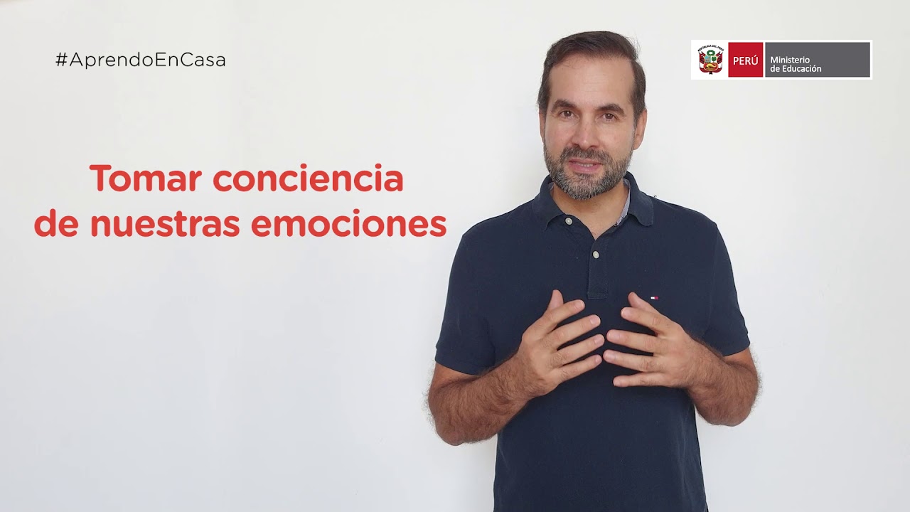 cual es la importancia de las emociones en la vida