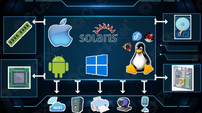 cual es su principal funcion