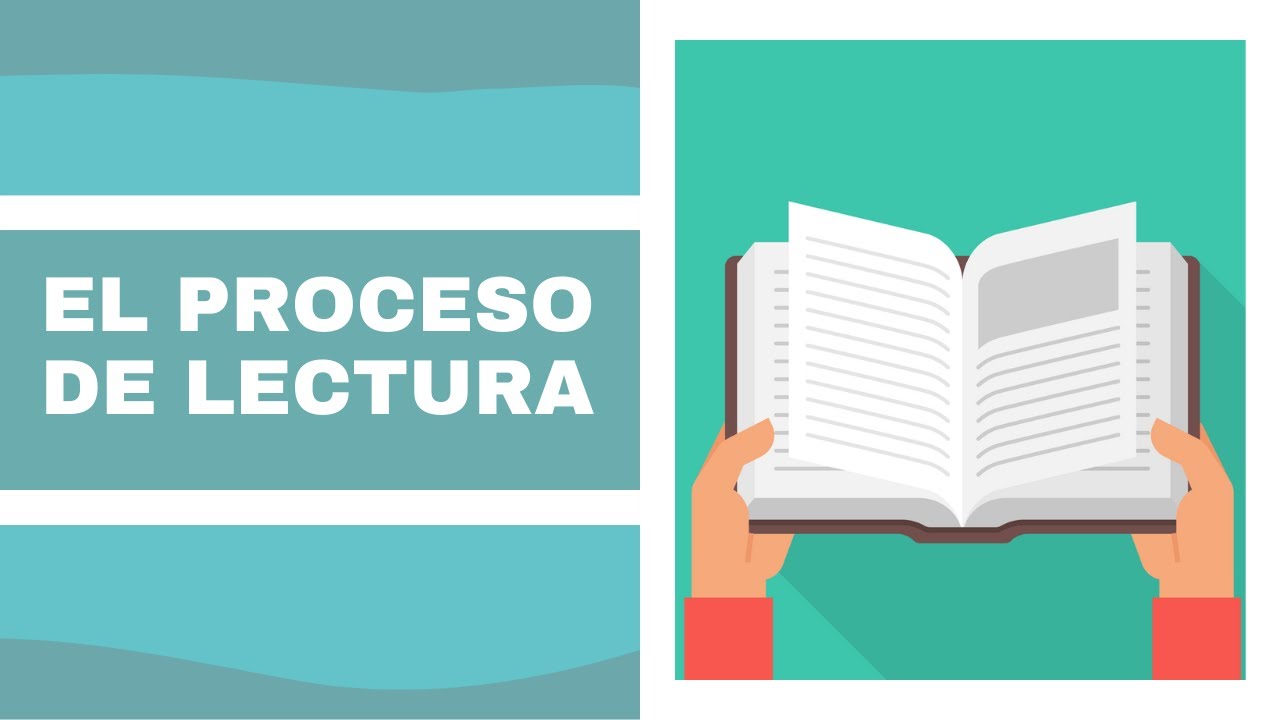 cuales son las etapas del proceso de lectura