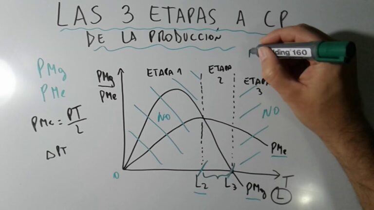 cuales son las fases de la producción