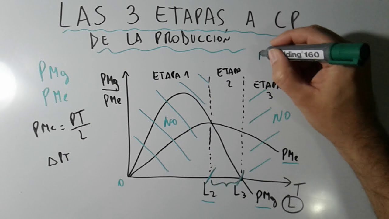 cuales son las fases de la producción