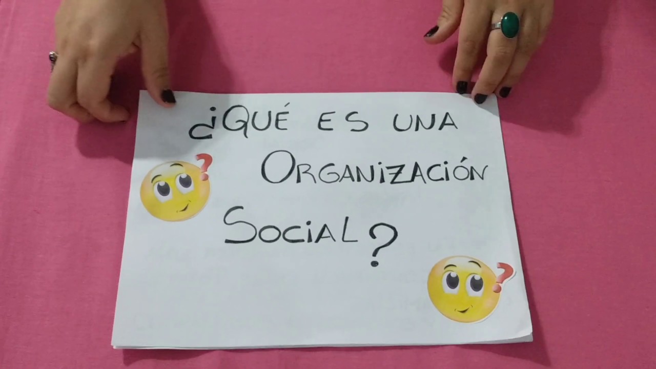 cuáles son las formas de organización social