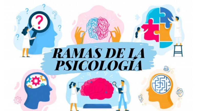 cuáles son las ramas de la psicología