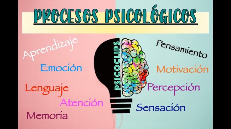 cuales son los procesos psicologicos basicos