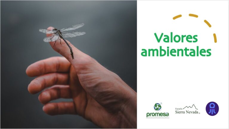 cuales son los valores ambientales