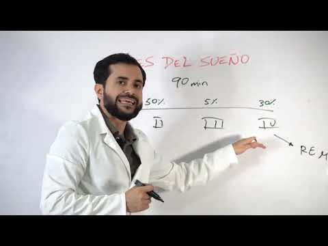 cuanto duran los ciclos de sueño