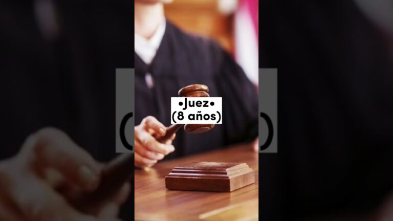 cuantos años dura la universidad