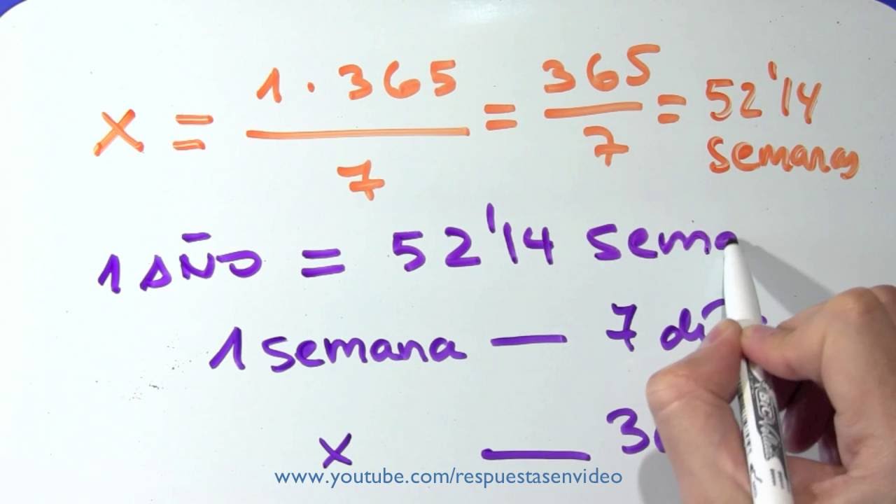 cuantos meses son 46 semanas