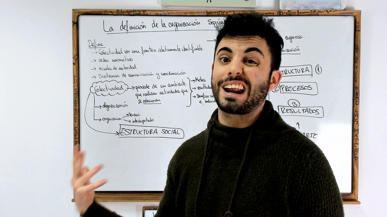 definicion de organizacion segun autores