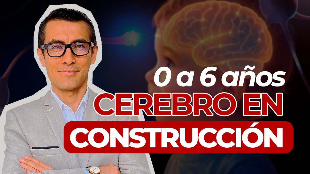 desarrollo cerebral del niño de 0 a 6 años