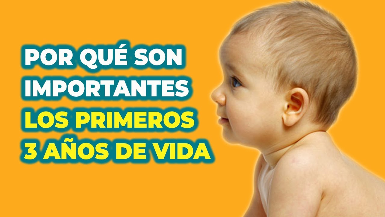 desarrollo cognitivo del niño de 0 a 3 años