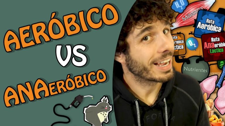 diferencia entre aerobico y anaerobico