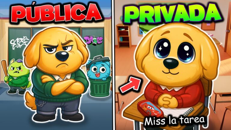 diferencia entre escuela publica y privada