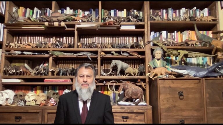 diferencia entre escuela y colegio