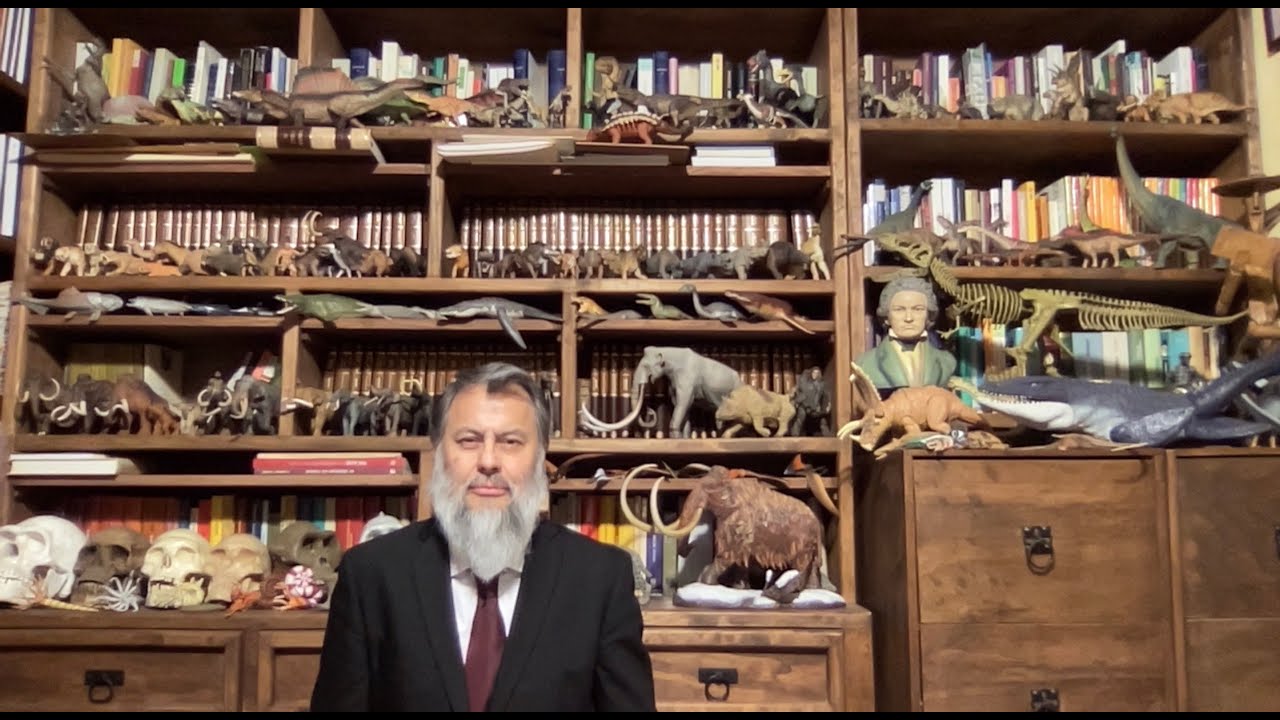 diferencia entre escuela y colegio