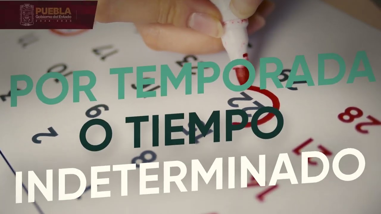 duracion de las relaciones de trabajo