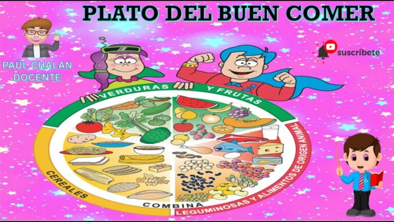 el plato del buen comer actividad