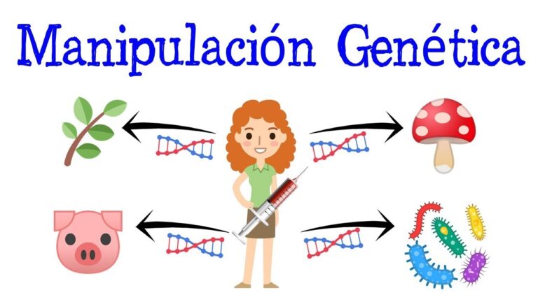en qué consiste la manipulación genética