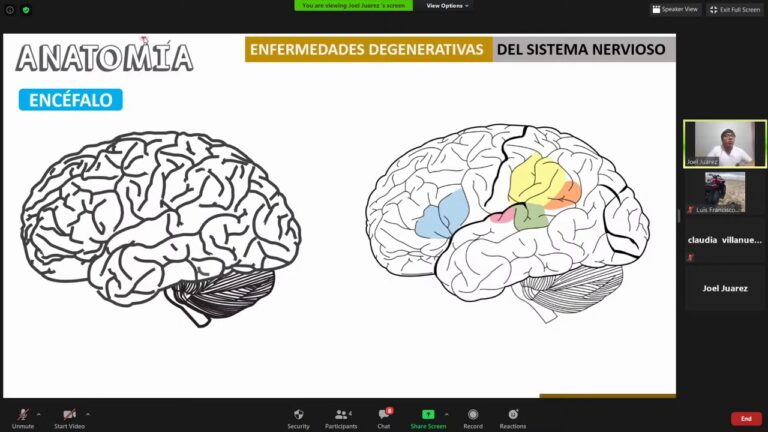 enfermedades degenerativas del sistema nervioso