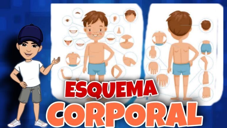 esquema corporal para niños de 4 a 5 años