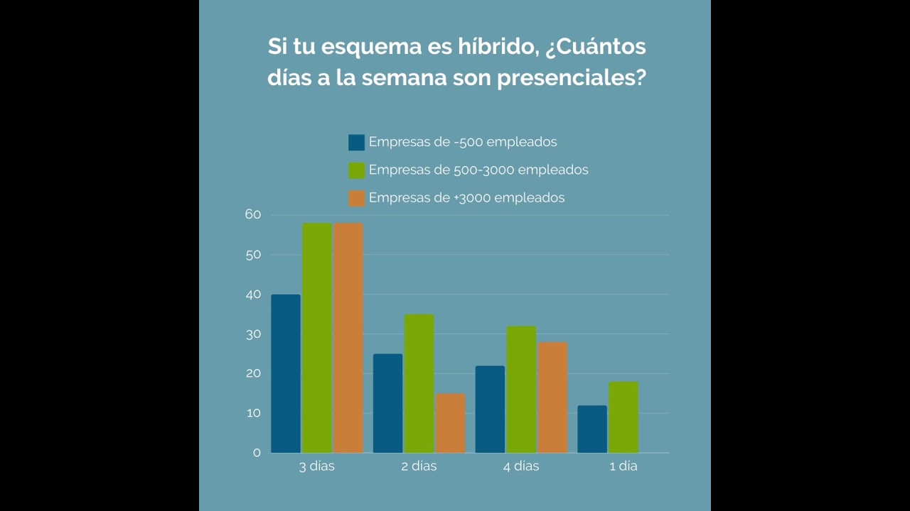 esquema laboral de una empresa
