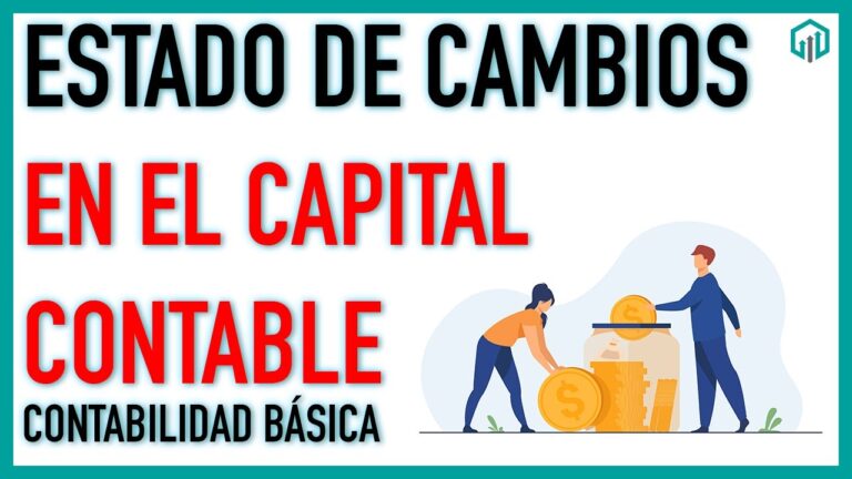estado de variacion de capital
