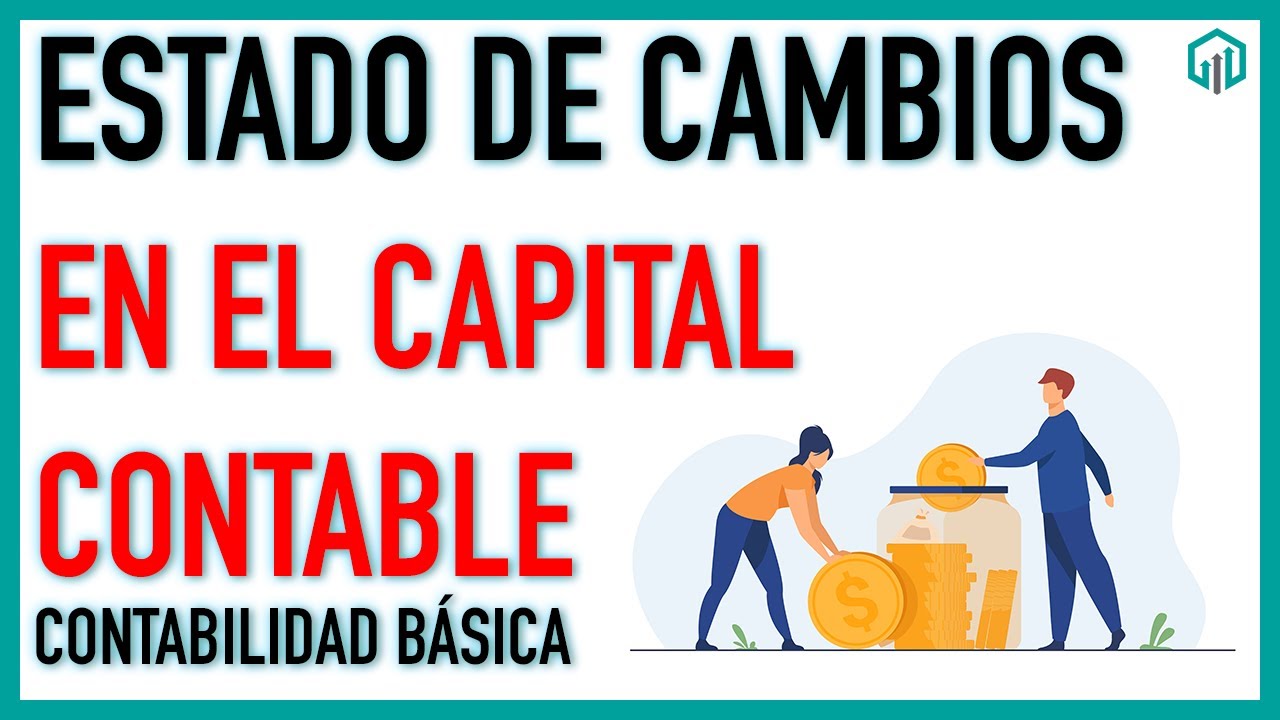estado de variacion de capital