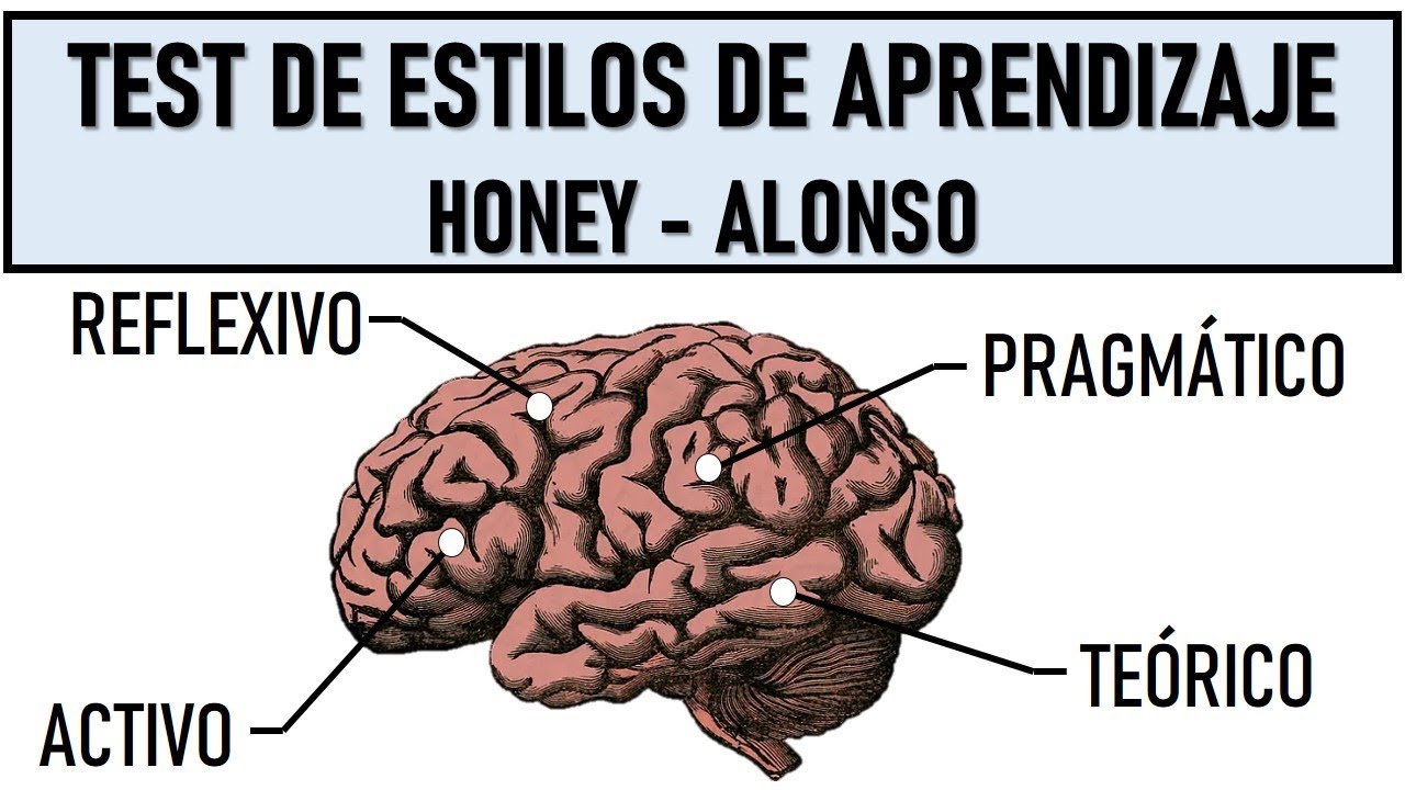 estilos de aprendizaje honey alonso